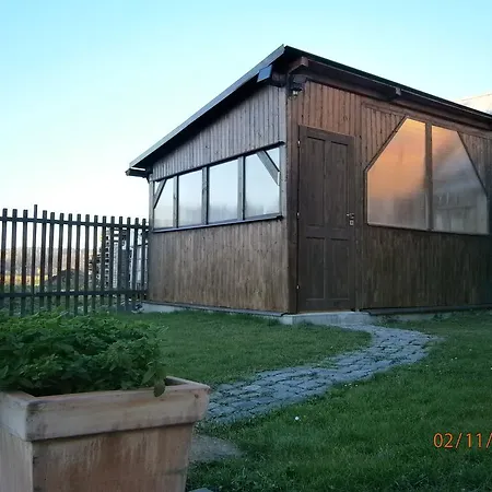 Holiday House David *